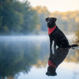 Lakeside Scene style example