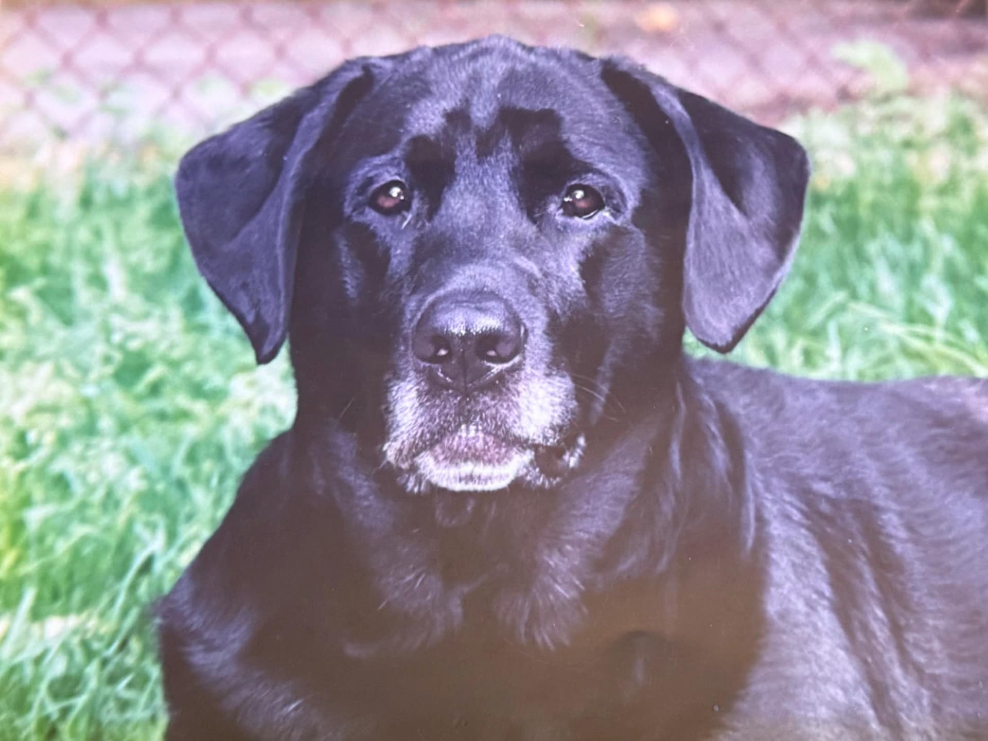 One of the original photos of Karli used to create her portrait