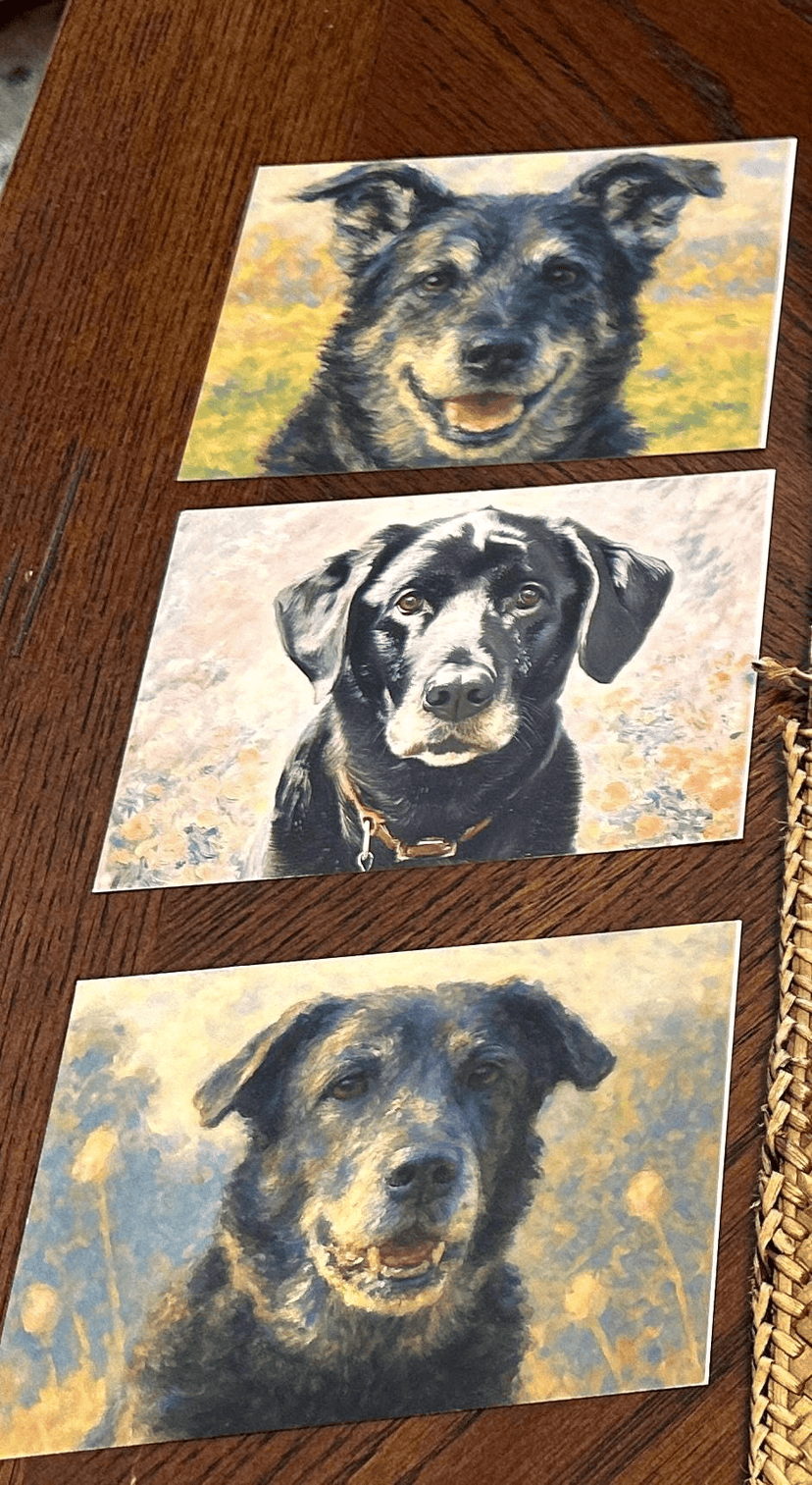 Jessica's custom postcards featuring all three dogs